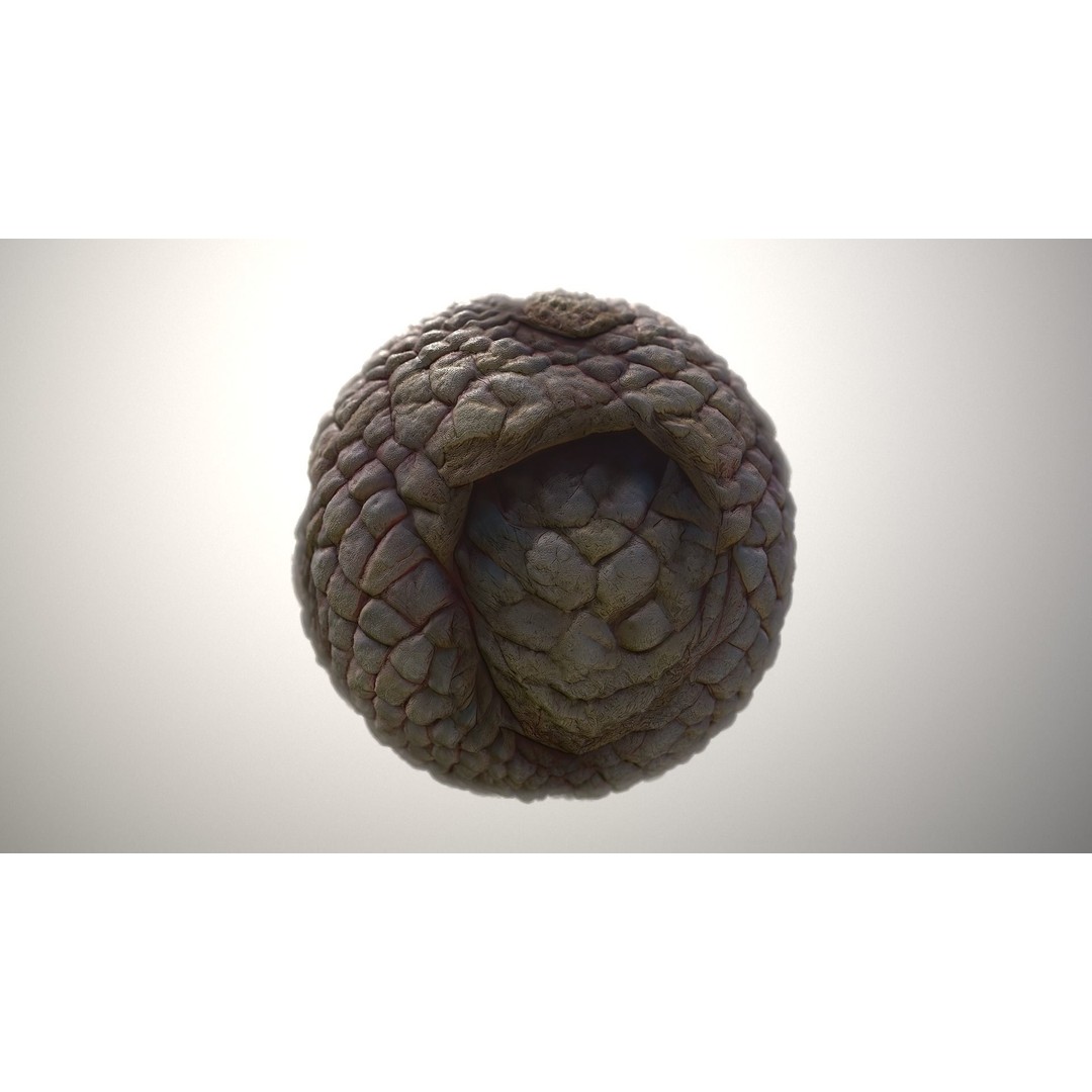 Monster Skin 3D Model – Seamless PBR Texture Pack, FBX - View 3