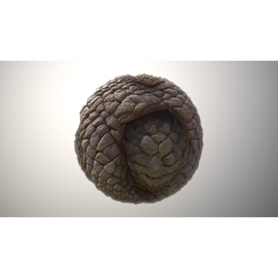 Monster Skin 3D Model – Seamless PBR Texture Pack, FBX - View 4