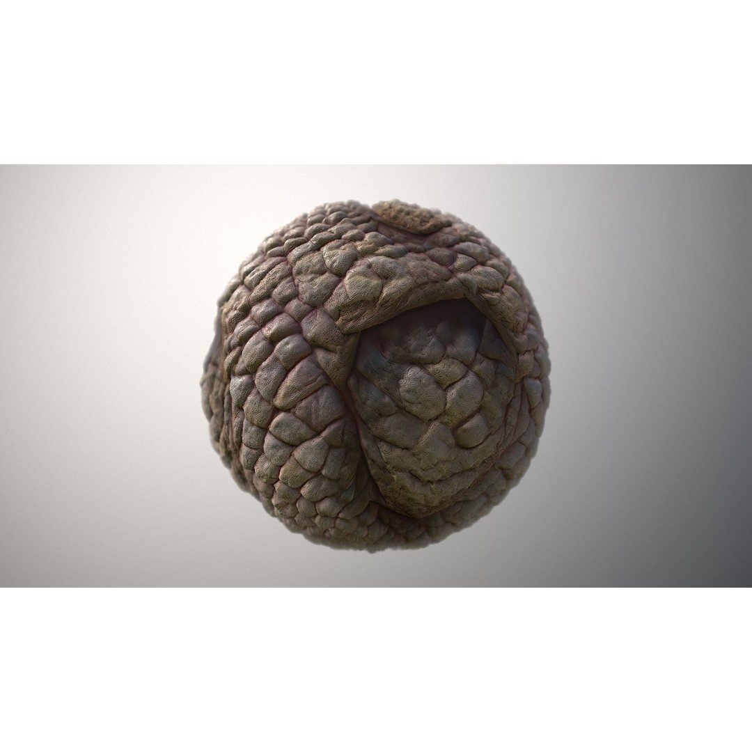 Monster Skin 3D Model – Seamless PBR Texture Pack, FBX - View 5