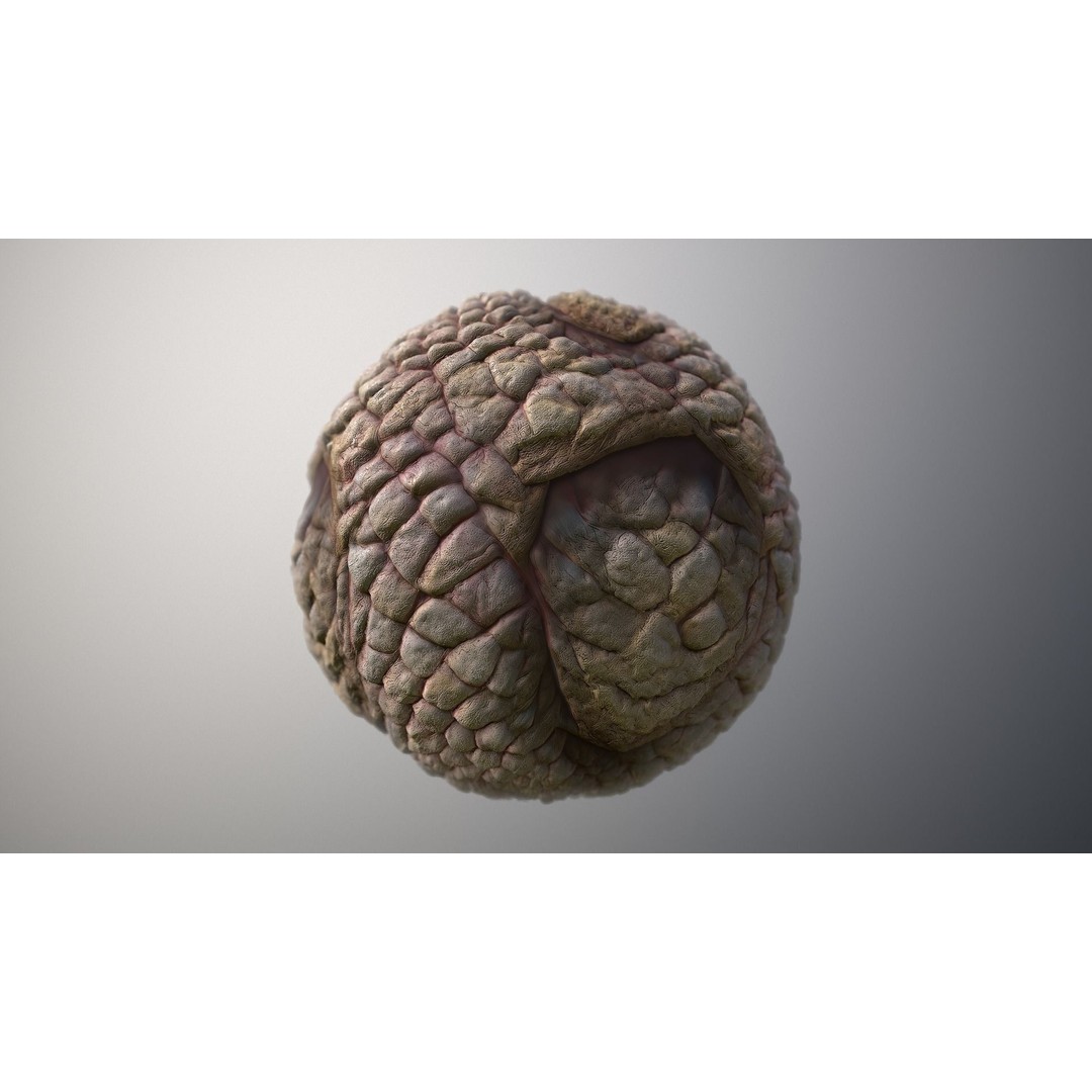 Monster Skin 3D Model – Seamless PBR Texture Pack, FBX - View 6