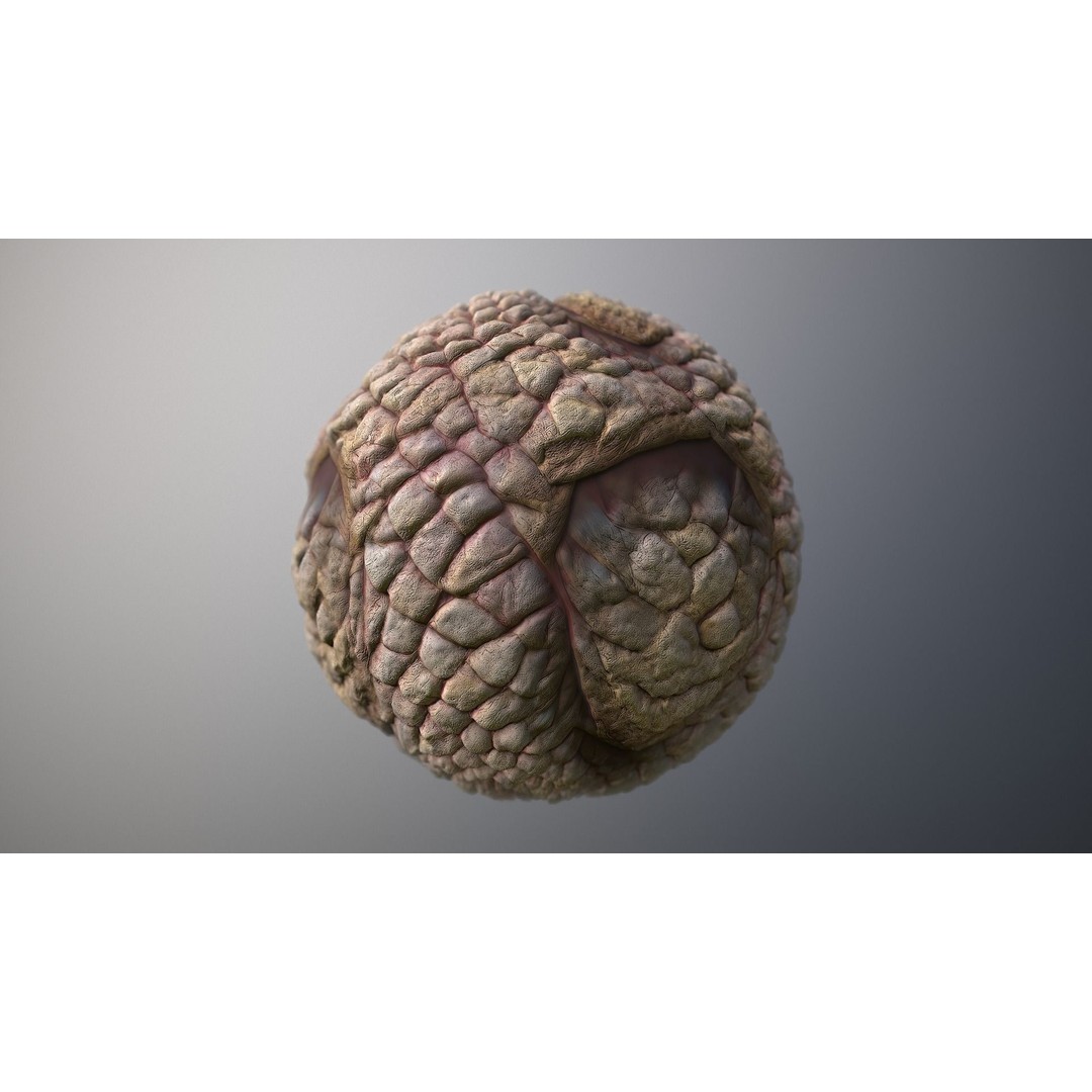 Monster Skin 3D Model – Seamless PBR Texture Pack, FBX - View 7