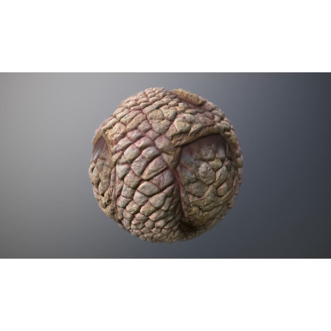 Monster Skin 3D Model – Seamless PBR Texture Pack, FBX - View 8