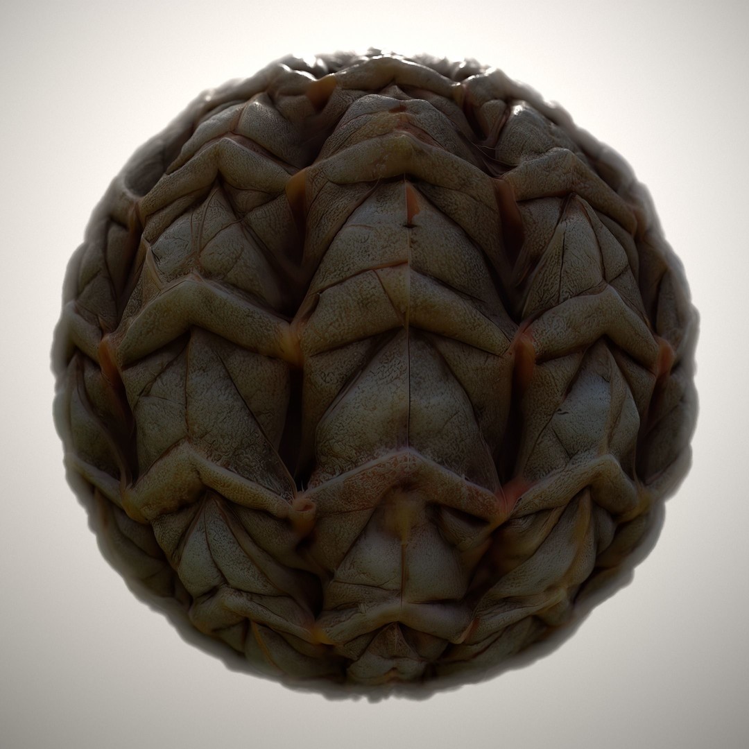 Alien Skin 3D Model – Seamless PBR Texture Pack for Game Assets - View 10