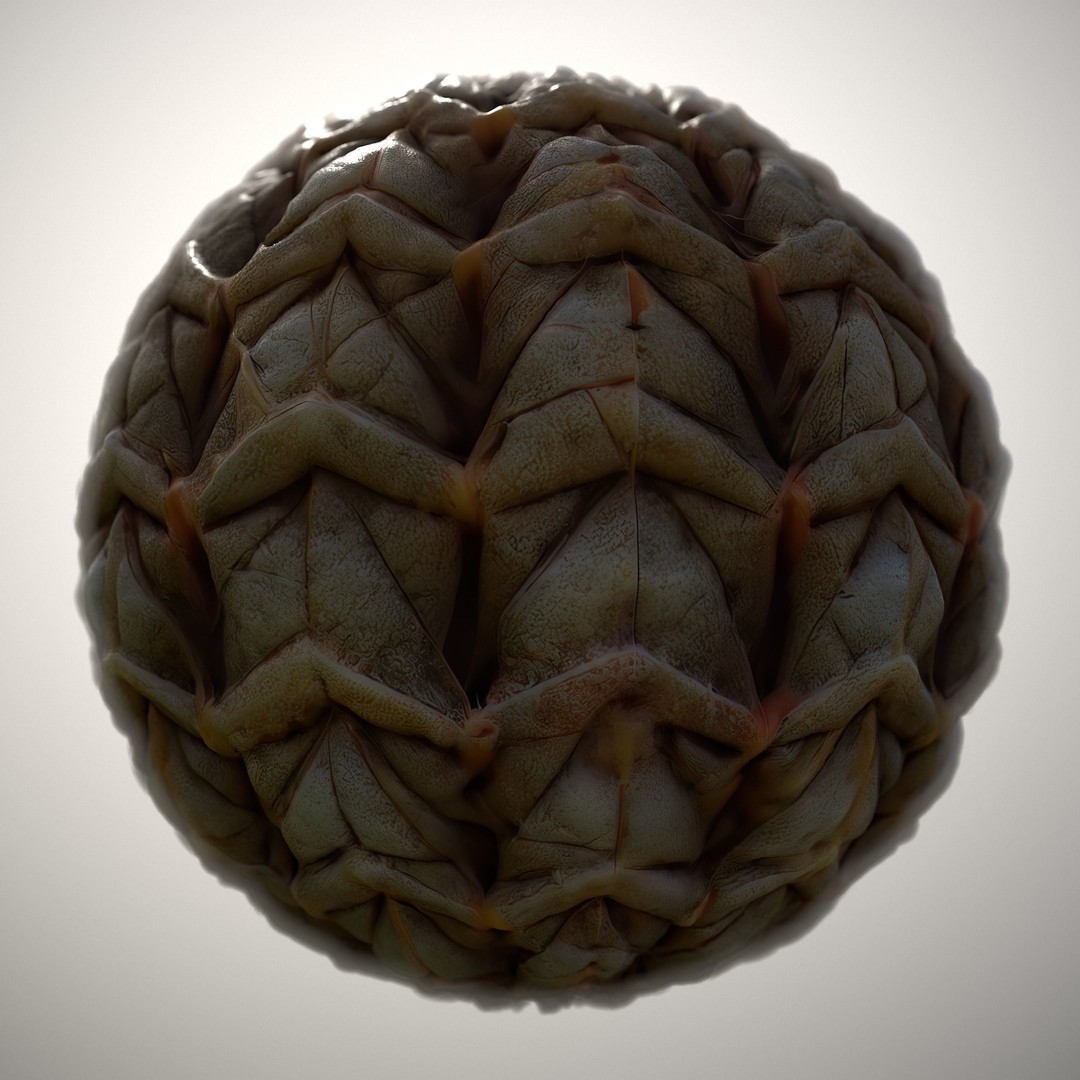 Alien Skin 3D Model – Seamless PBR Texture Pack for Game Assets - View 11