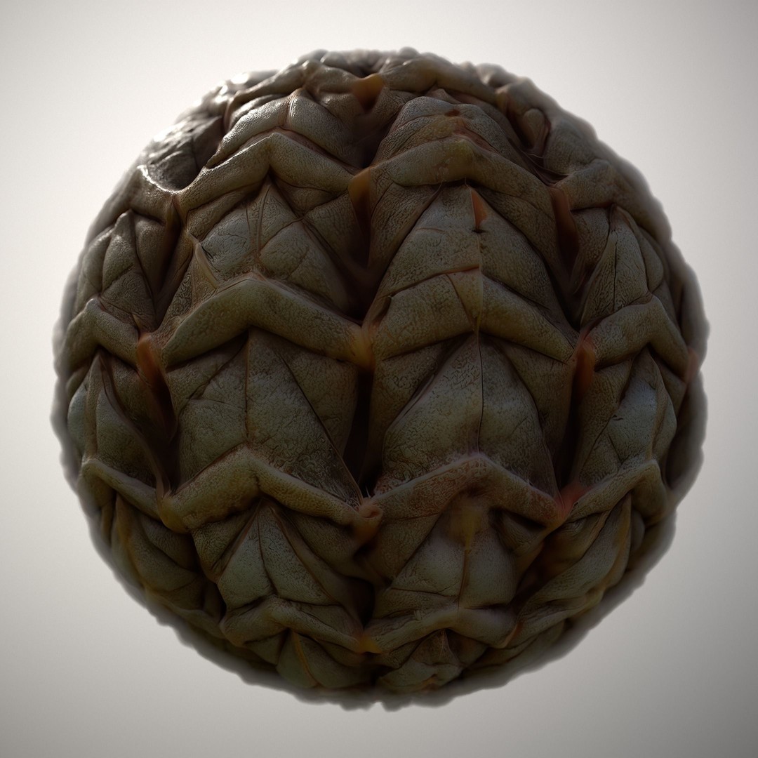 Alien Skin 3D Model – Seamless PBR Texture Pack for Game Assets - View 12