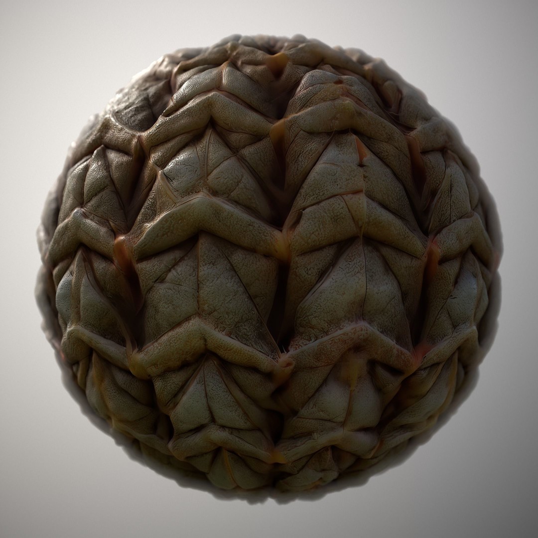 Alien Skin 3D Model – Seamless PBR Texture Pack for Game Assets - View 13