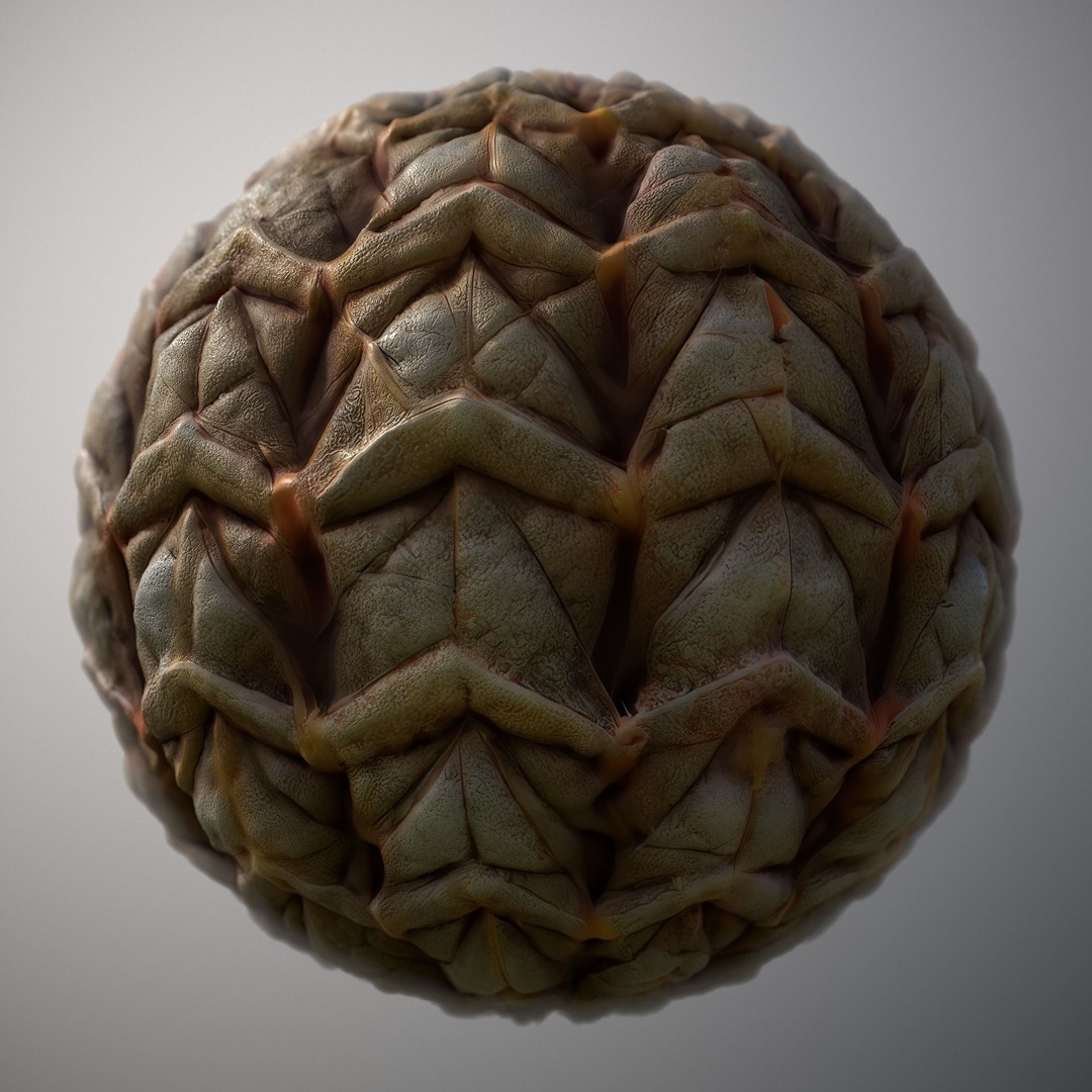 Alien Skin 3D Model – Seamless PBR Texture Pack for Game Assets - View 14