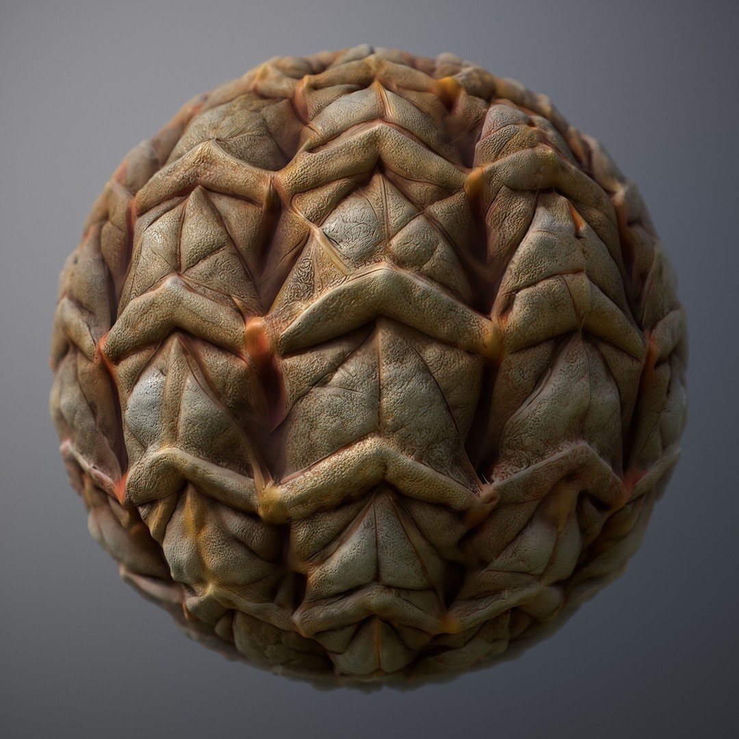 Alien Skin 3D Model – Seamless PBR Texture Pack for Game Assets - View 16