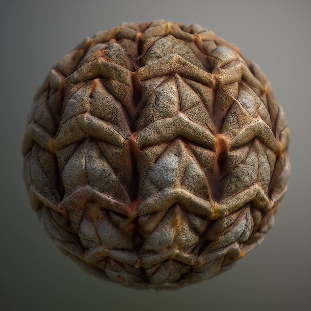 Alien Skin 3D Model – Seamless PBR Texture Pack for Game Assets - View 4