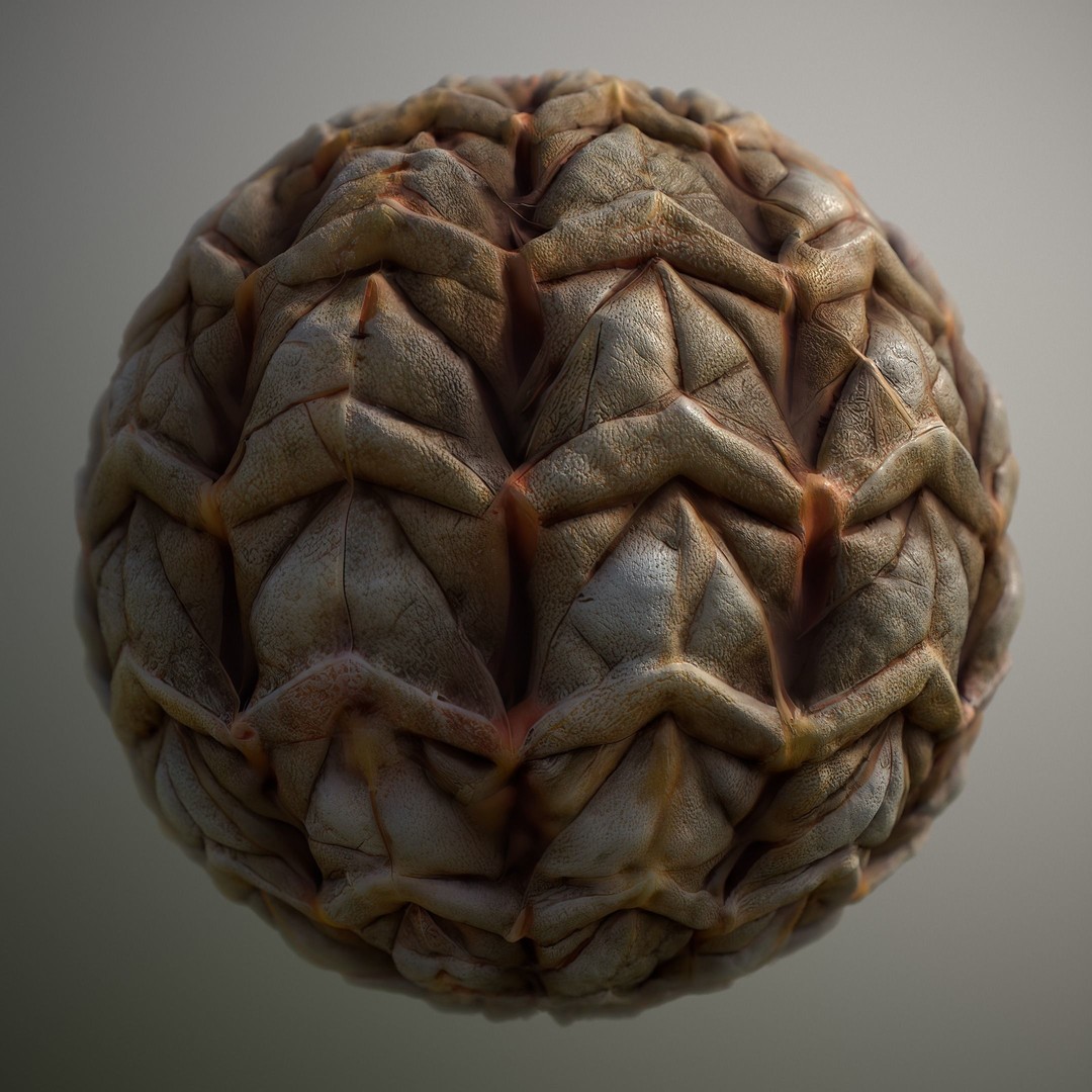 Alien Skin 3D Model – Seamless PBR Texture Pack for Game Assets - View 5
