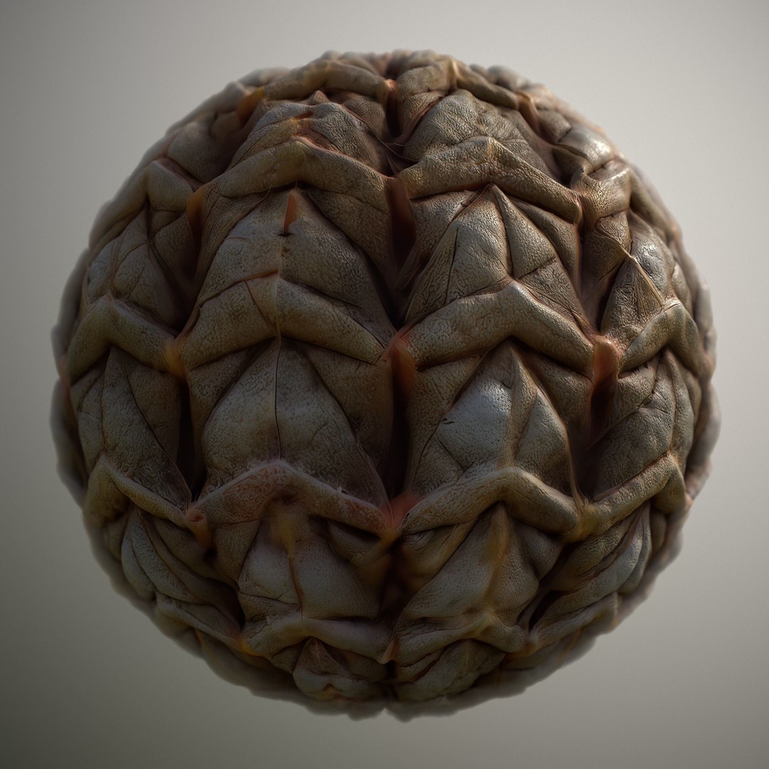 Alien Skin 3D Model – Seamless PBR Texture Pack for Game Assets - View 6