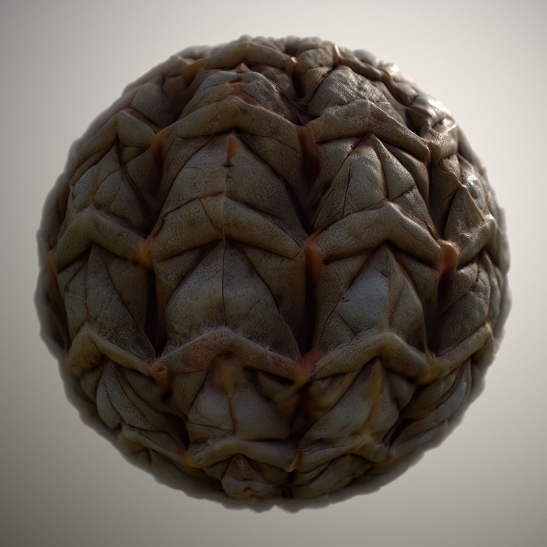 Alien Skin 3D Model – Seamless PBR Texture Pack for Game Assets - View 7