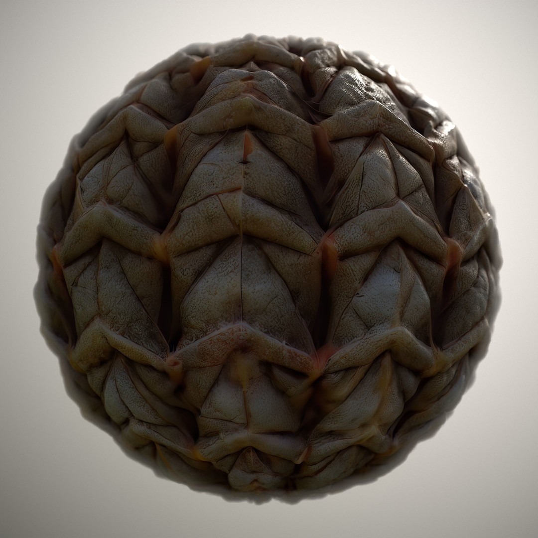Alien Skin 3D Model – Seamless PBR Texture Pack for Game Assets - View 8