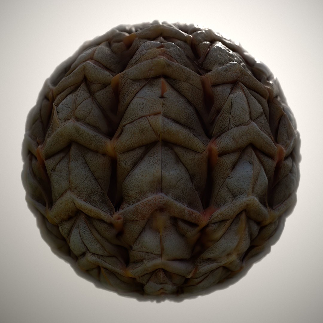 Alien Skin 3D Model – Seamless PBR Texture Pack for Game Assets - View 9