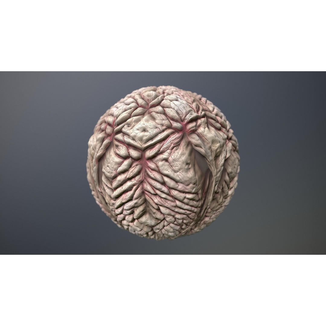 Monster Skin 3D Model – Seamless PBR Texture Pack, FBX - View 10