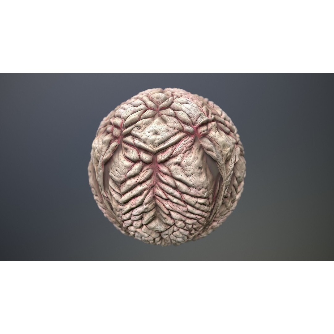 Monster Skin 3D Model – Seamless PBR Texture Pack, FBX - View 11