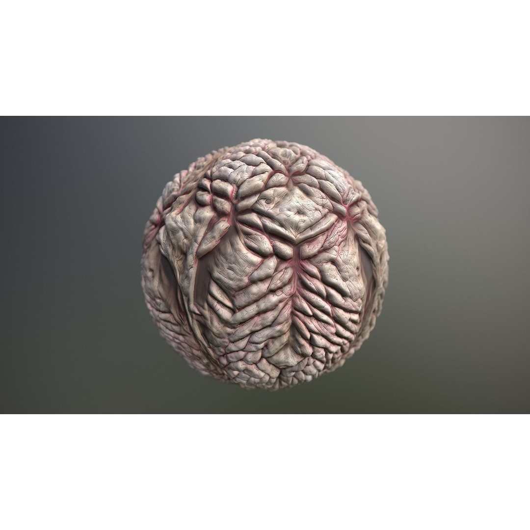 Monster Skin 3D Model – Seamless PBR Texture Pack, FBX - View 13