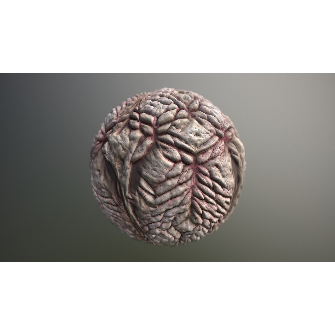 Monster Skin 3D Model – Seamless PBR Texture Pack, FBX - View 15