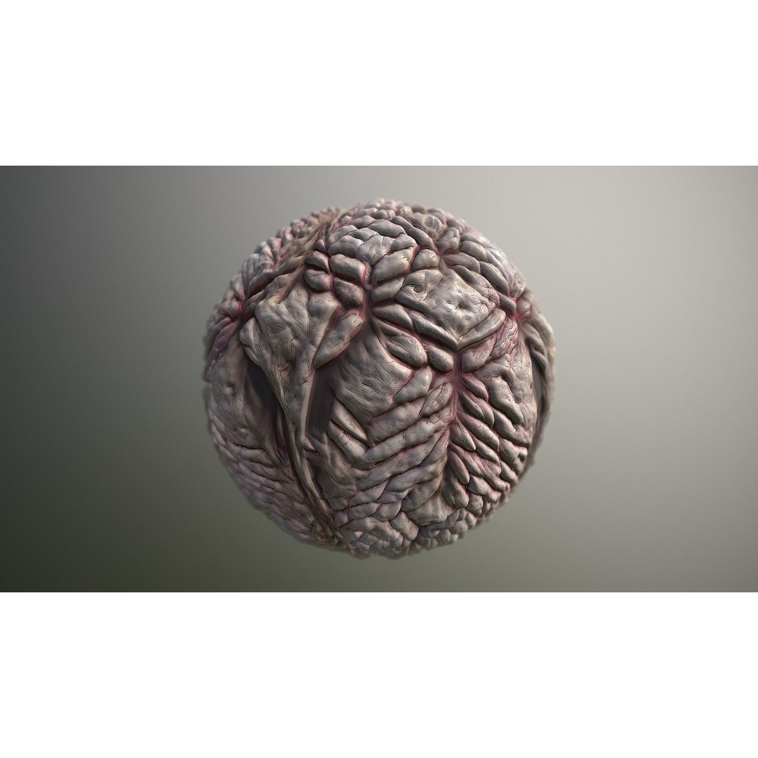 Monster Skin 3D Model – Seamless PBR Texture Pack, FBX - View 16