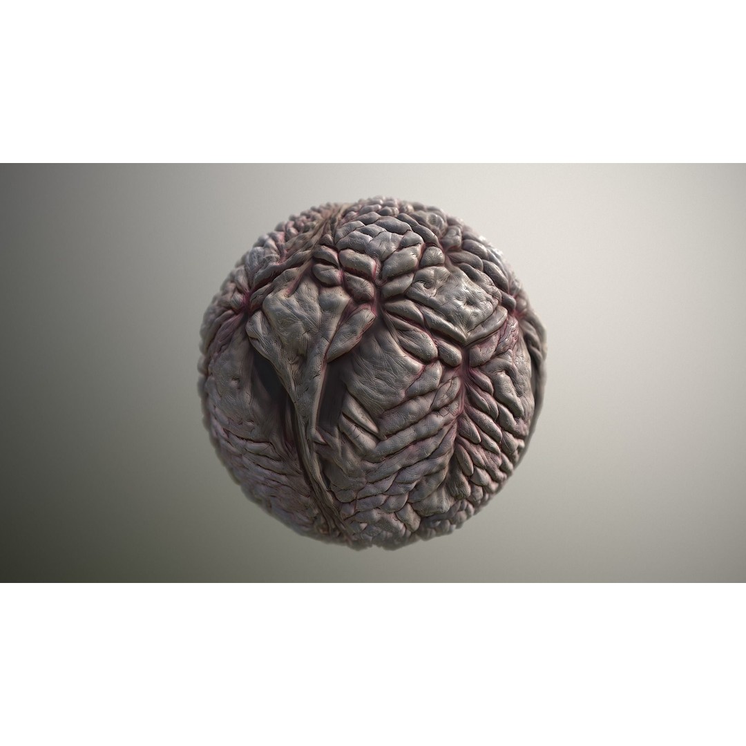 Monster Skin 3D Model – Seamless PBR Texture Pack, FBX - View 17