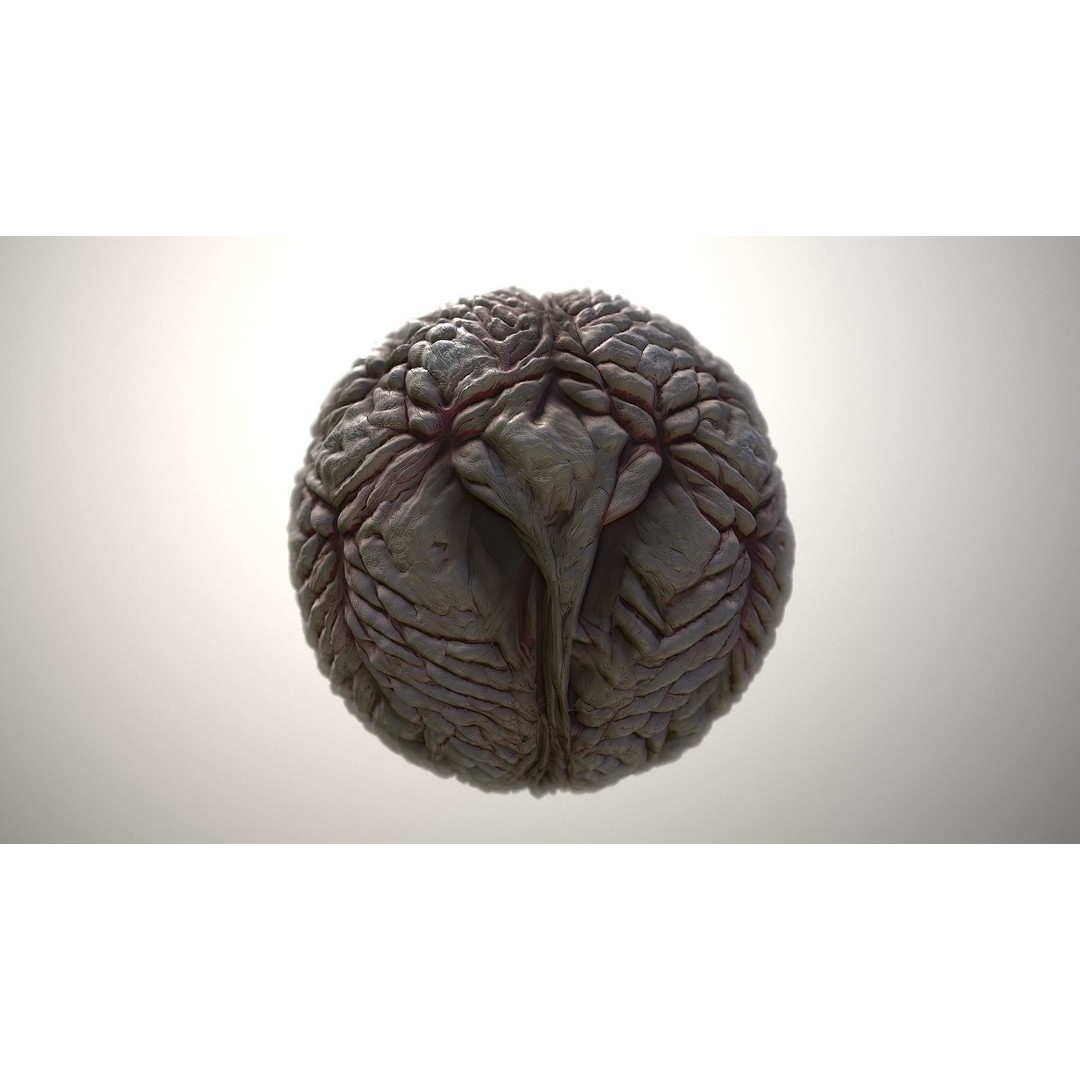 Monster Skin 3D Model – Seamless PBR Texture Pack, FBX - View 3