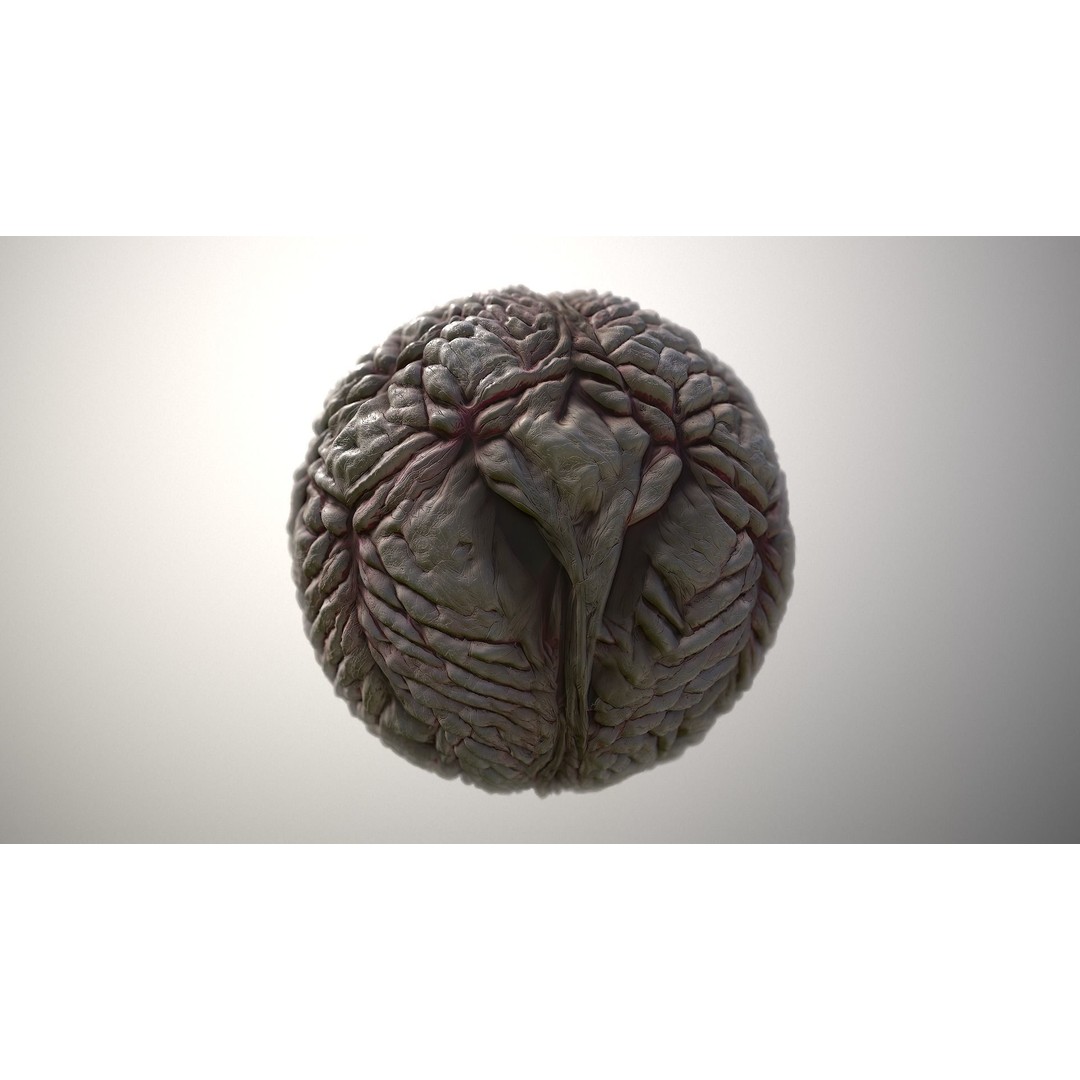 Monster Skin 3D Model – Seamless PBR Texture Pack, FBX - View 4