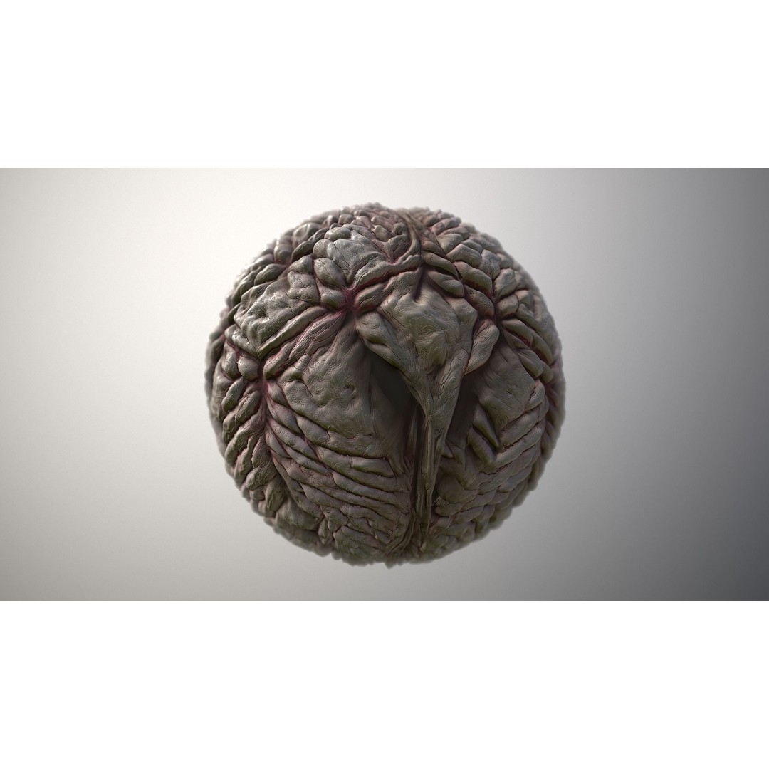 Monster Skin 3D Model – Seamless PBR Texture Pack, FBX - View 5