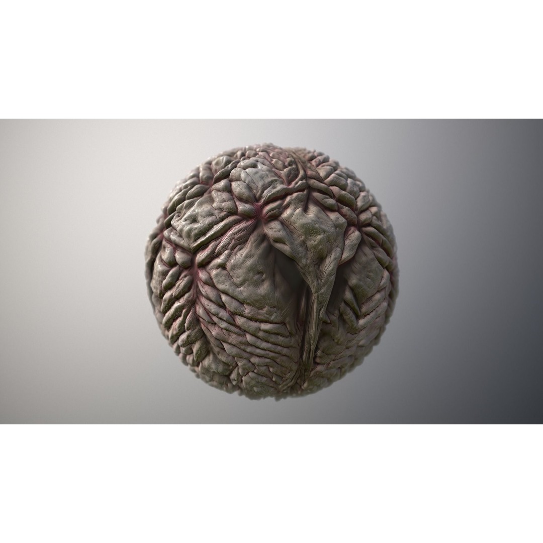 Monster Skin 3D Model – Seamless PBR Texture Pack, FBX - View 6