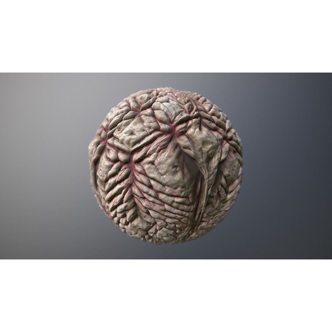 Monster Skin 3D Model – Seamless PBR Texture Pack, FBX - View 8