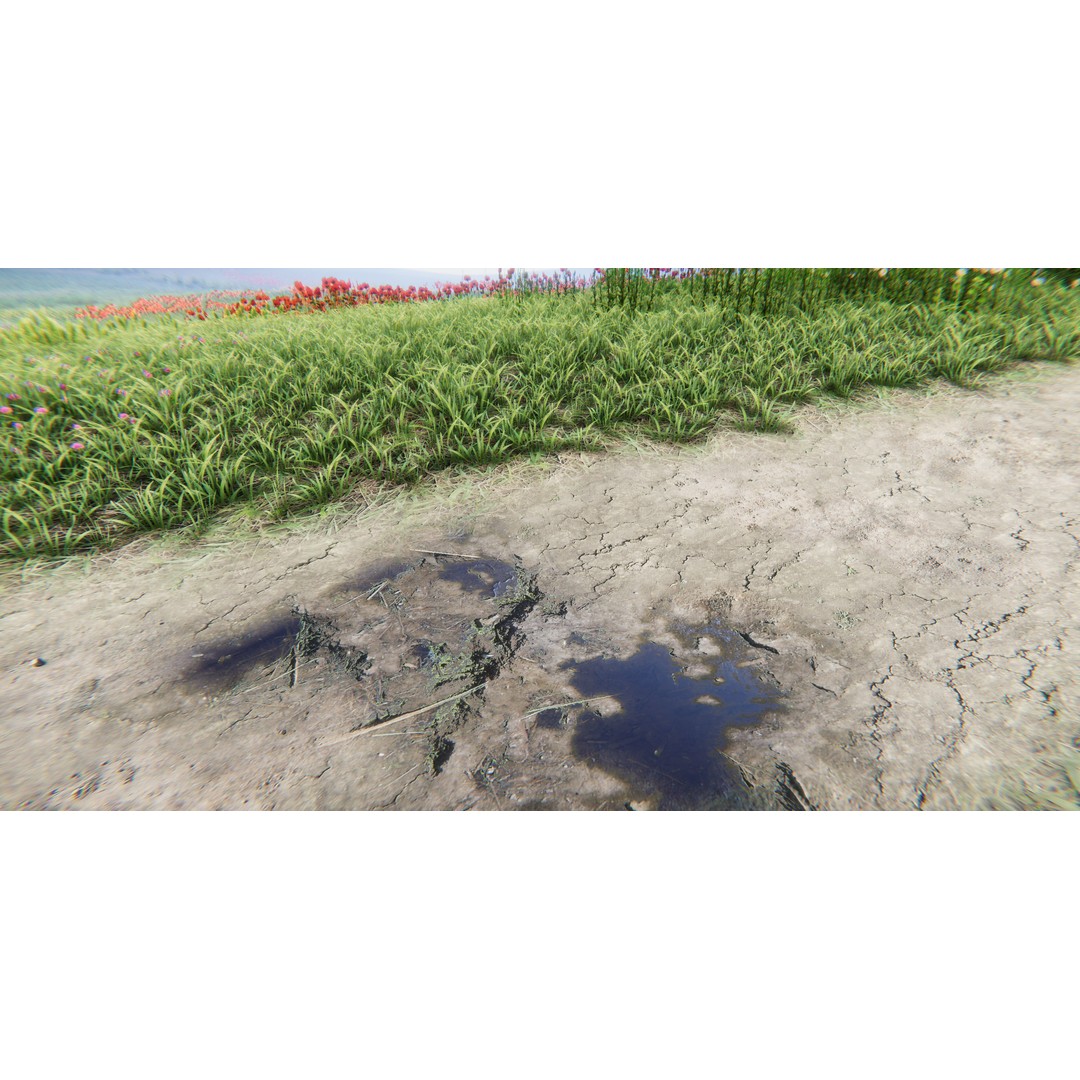 Realistic Grass Flowers Pack 3D Model – High Quality Textures for Unity - View 11