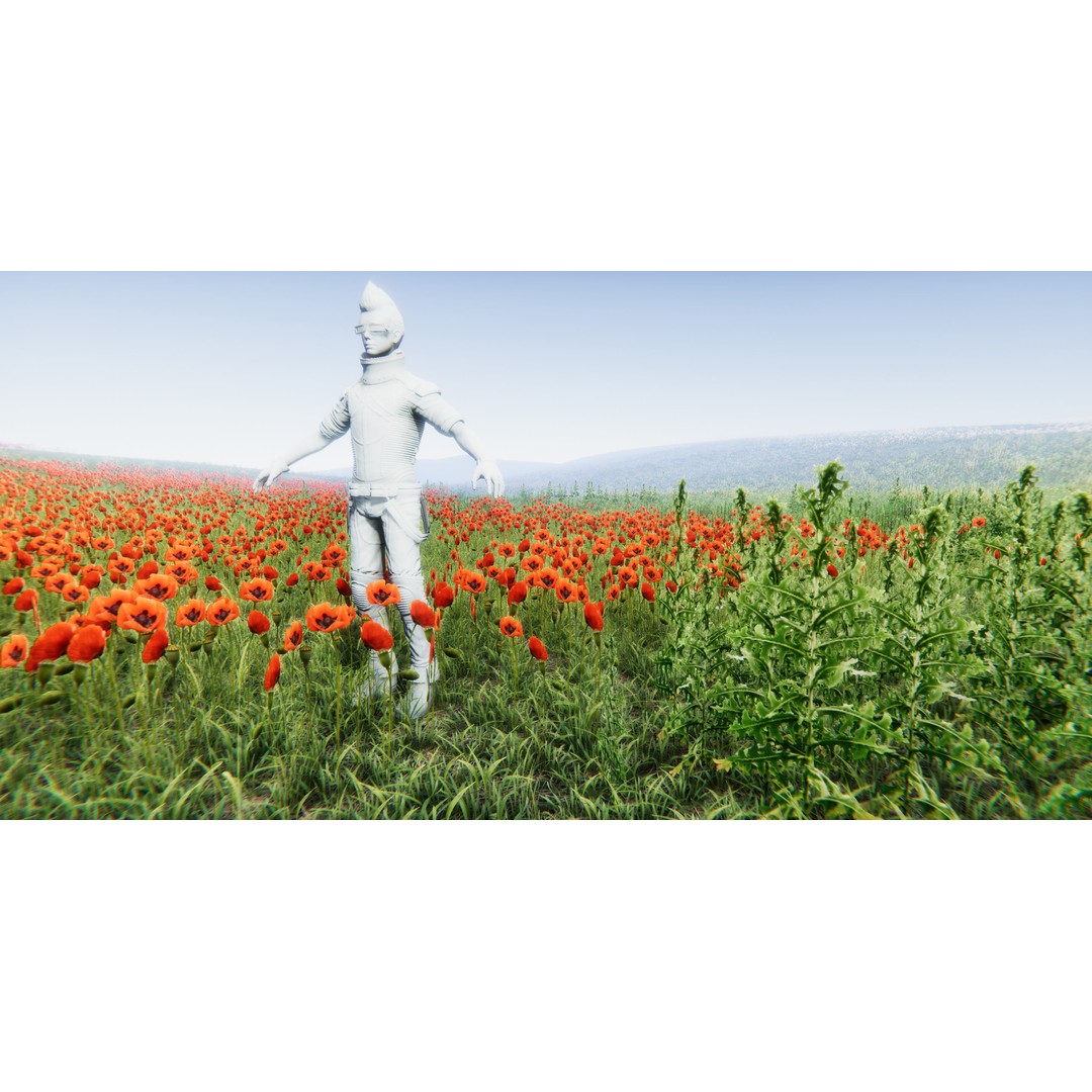 Realistic Grass Flowers Pack 3D Model – High Quality Textures for Unity - View 13