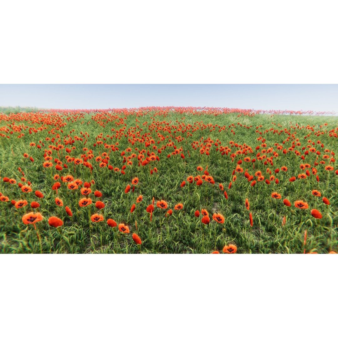 Realistic Grass Flowers Pack 3D Model – High Quality Textures for Unity - View 15