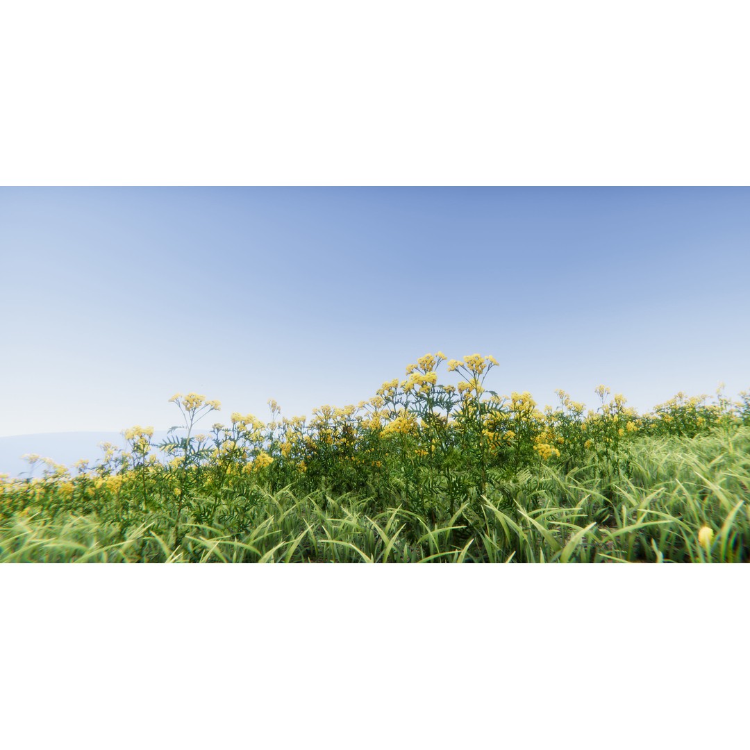 Realistic Grass Flowers Pack 3D Model – High Quality Textures for Unity - View 17