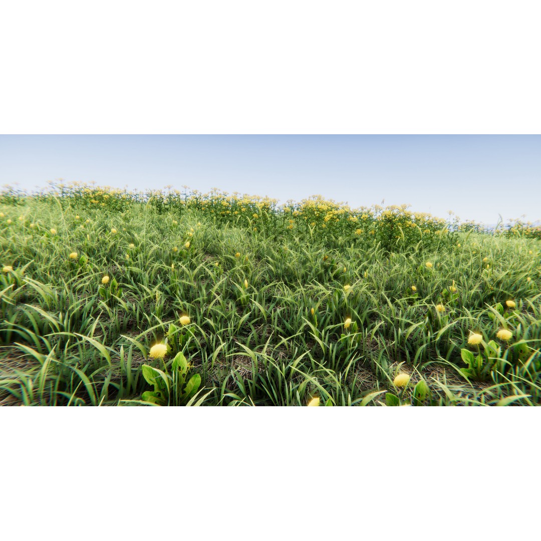 Realistic Grass Flowers Pack 3D Model – High Quality Textures for Unity - View 18