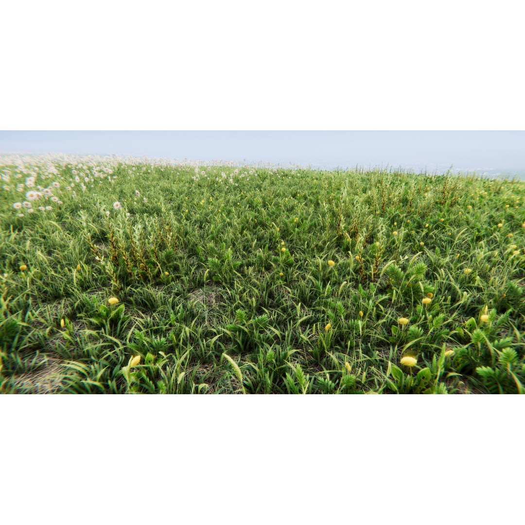 Realistic Grass Flowers Pack 3D Model – High Quality Textures for Unity - View 19