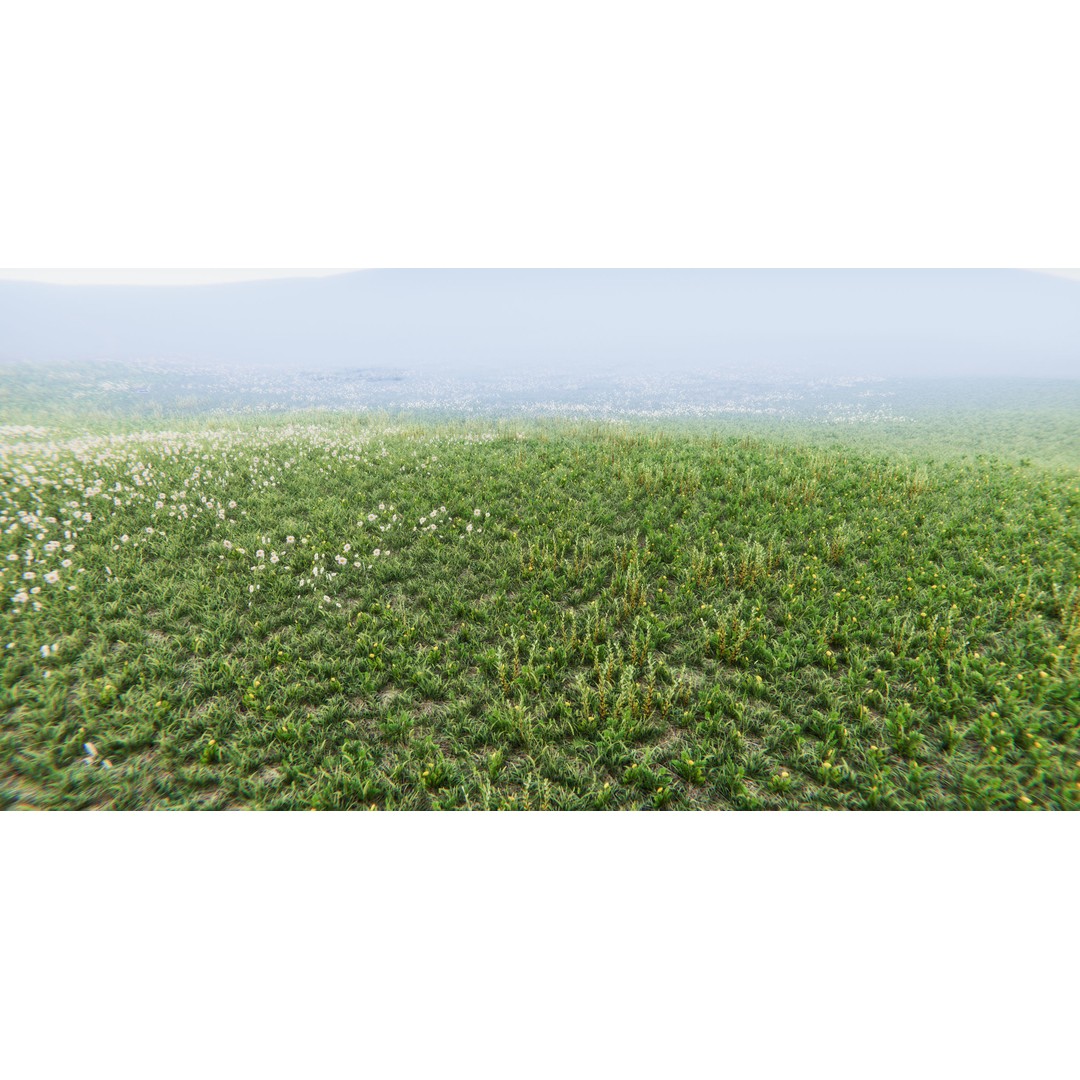 Realistic Grass Flowers Pack 3D Model – High Quality Textures for Unity - View 20