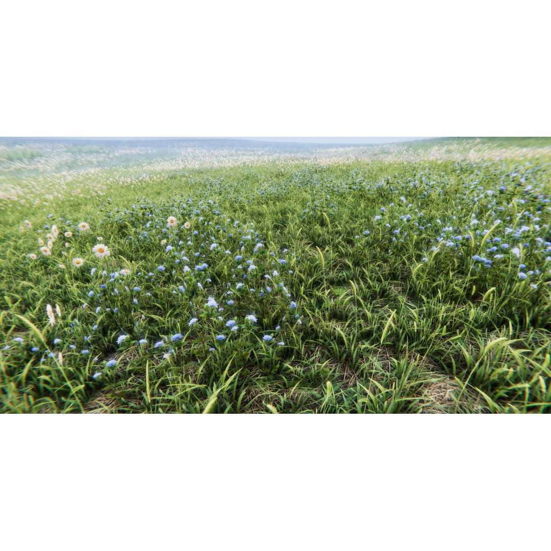 Realistic Grass Flowers Pack 3D Model – High Quality Textures for Unity - View 22