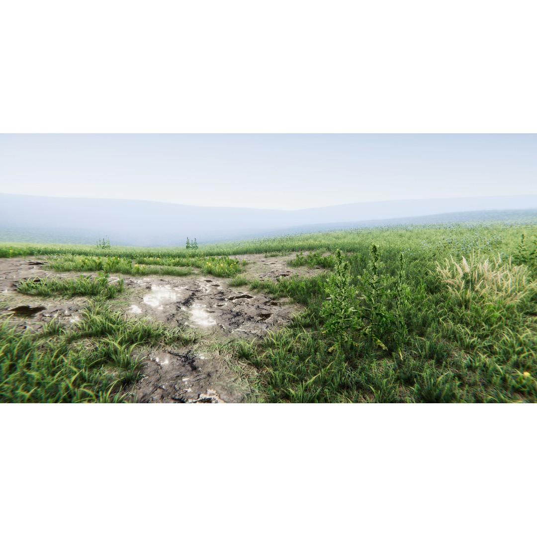 Realistic Grass Flowers Pack 3D Model – High Quality Textures for Unity - View 23