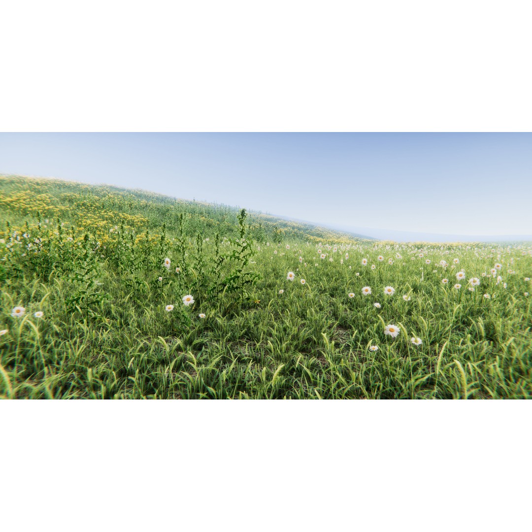 Realistic Grass Flowers Pack 3D Model – High Quality Textures for Unity - View 25