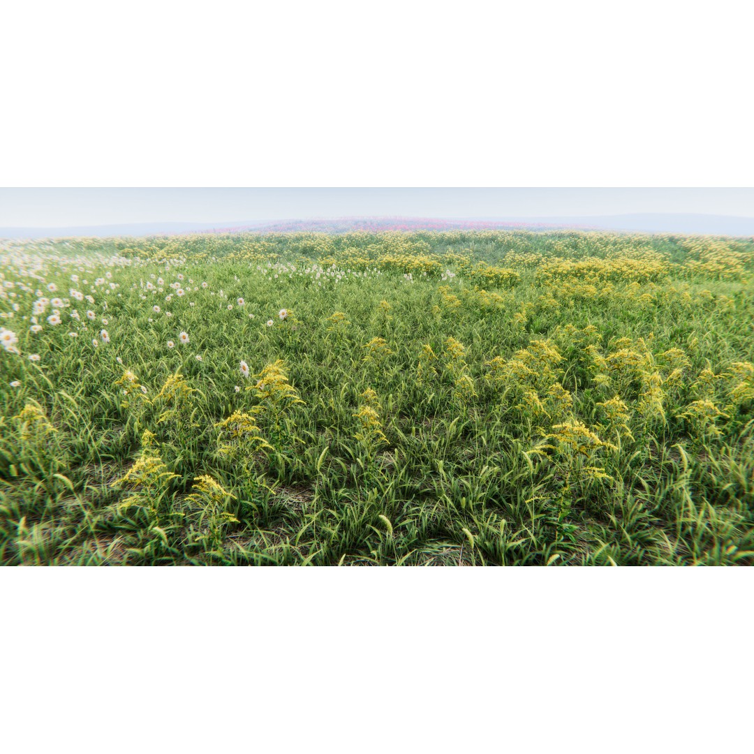 Realistic Grass Flowers Pack 3D Model – High Quality Textures for Unity - View 26