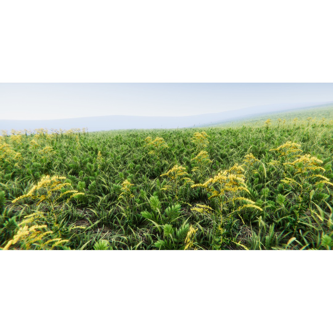 Realistic Grass Flowers Pack 3D Model – High Quality Textures for Unity - View 27
