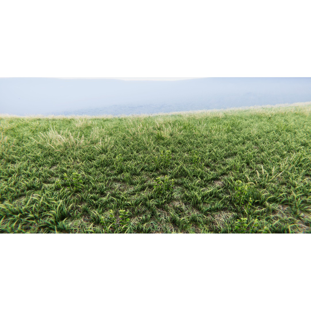 Realistic Grass Flowers Pack 3D Model – High Quality Textures for Unity - View 28