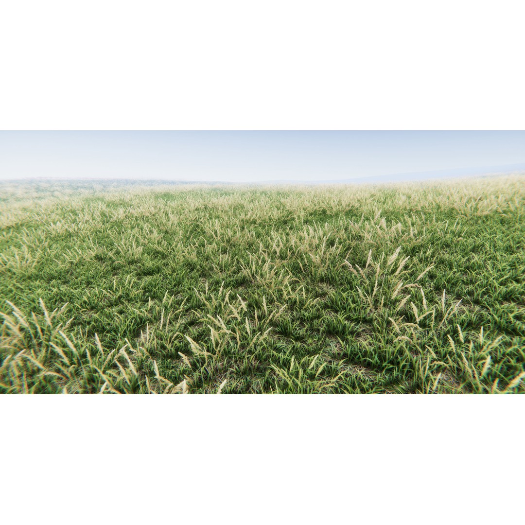 Realistic Grass Flowers Pack 3D Model – High Quality Textures for Unity - View 31