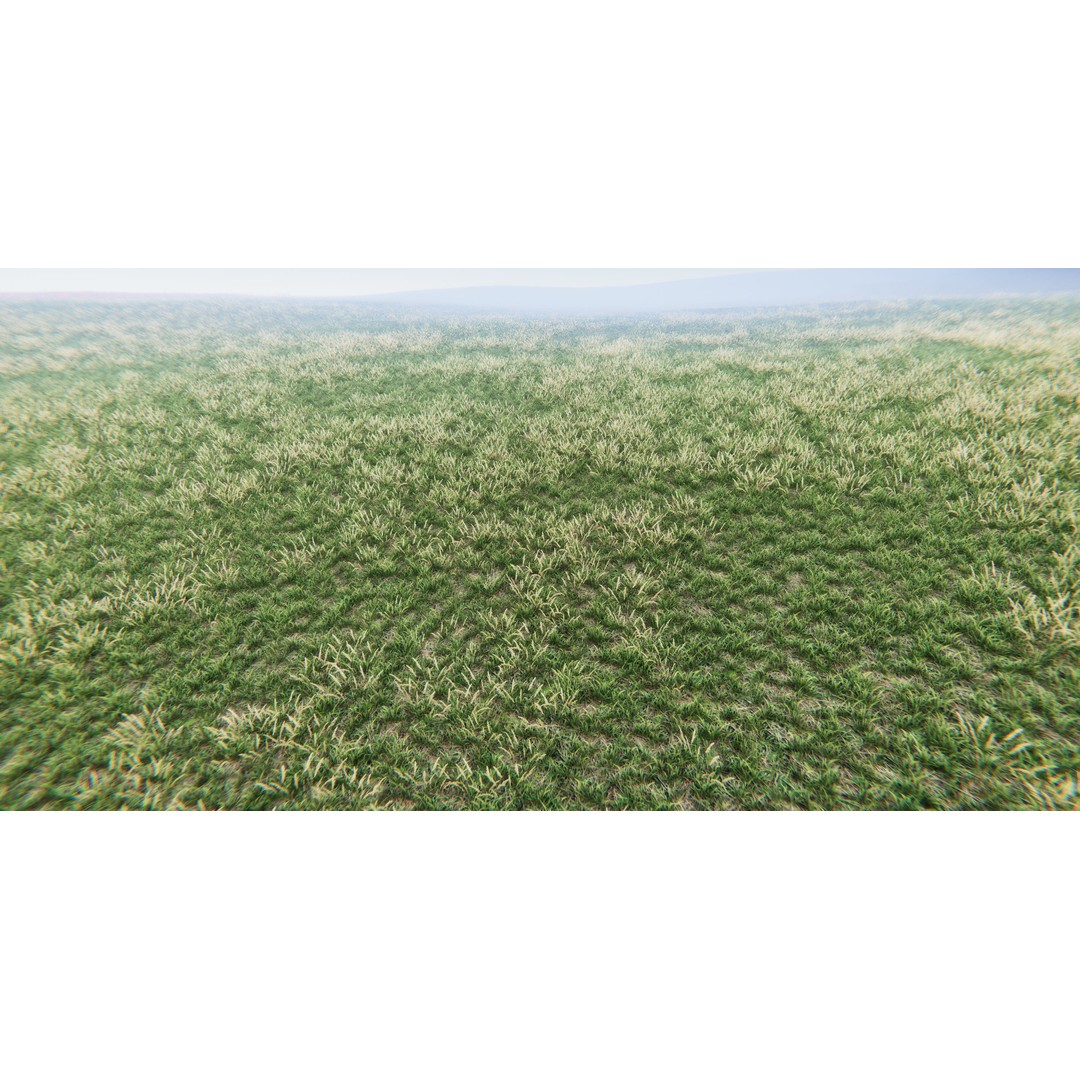 Realistic Grass Flowers Pack 3D Model – High Quality Textures for Unity - View 32