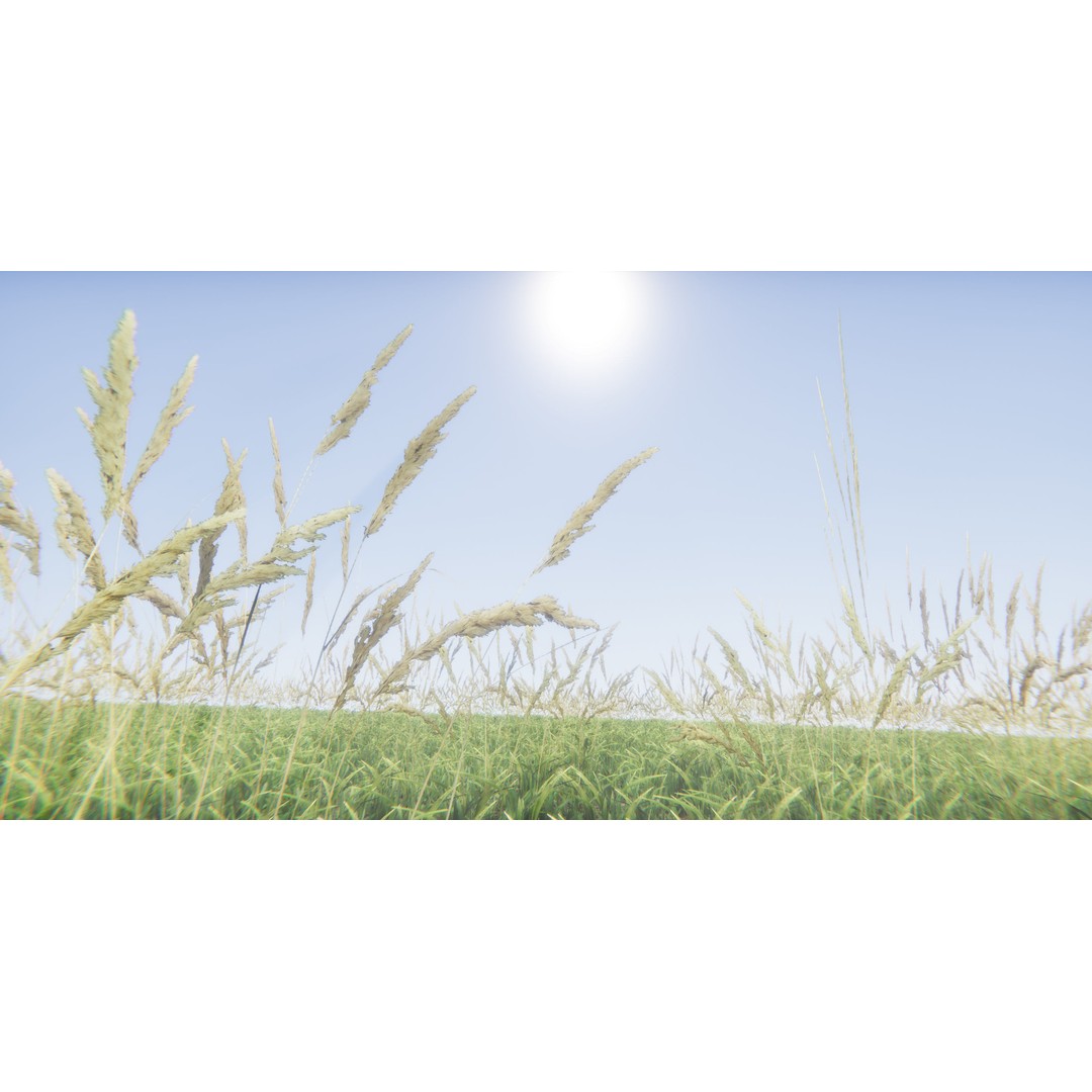 Realistic Grass Flowers Pack 3D Model – High Quality Textures for Unity - View 34