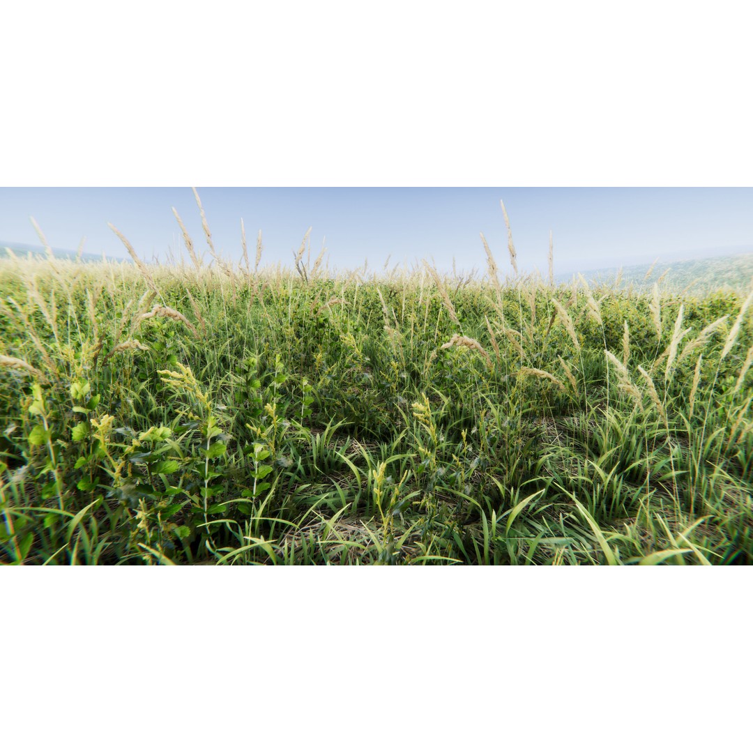 Realistic Grass Flowers Pack 3D Model – High Quality Textures for Unity - View 35