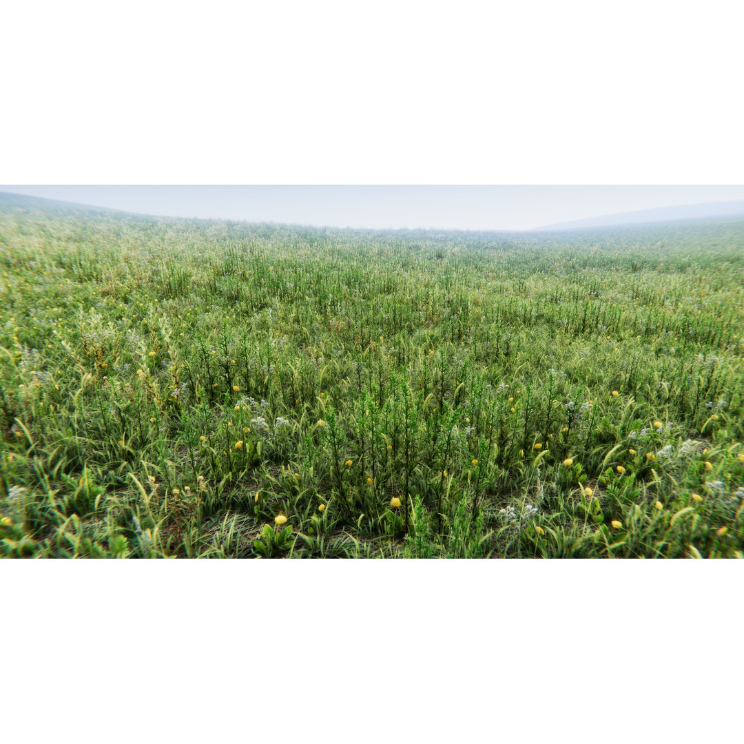 Realistic Grass Flowers Pack 3D Model – High Quality Textures for Unity - View 36