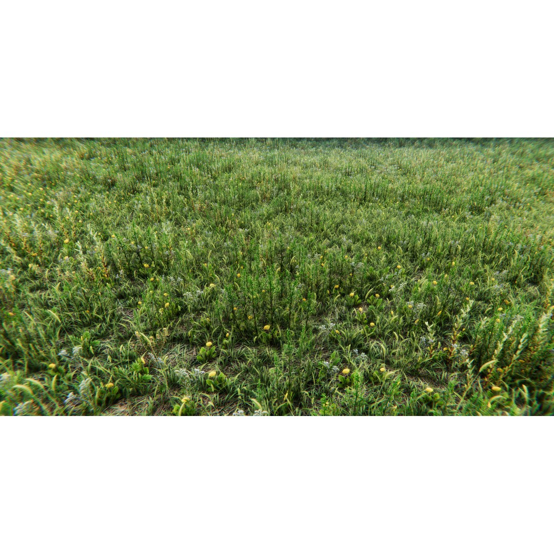 Realistic Grass Flowers Pack 3D Model – High Quality Textures for Unity - View 37