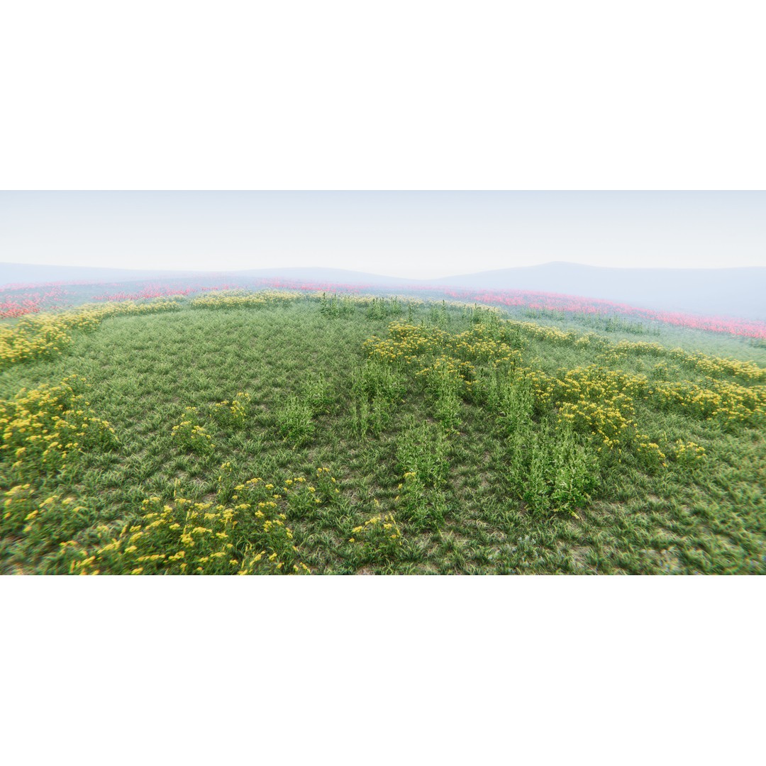 Realistic Grass Flowers Pack 3D Model – High Quality Textures for Unity - View 38