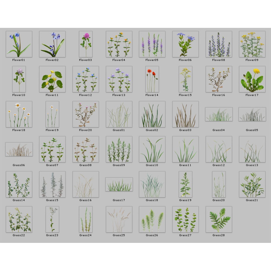 Realistic Grass Flowers Pack 3D Model – High Quality Textures for Unity - View 4